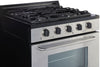 Cuisinière au propane hors réseau unique en acier inoxydable de 30 pi Classic