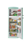 Unique 310L Summer Mint Green Top Mount Refrigerator