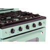 Unique 30' Classic Retro Summer Mint Green Range