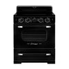 Unique 30' Classic Retro Induction Range Midnight Black