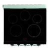 Unique 30' Classic Retro Induction Range Summer Mint Green