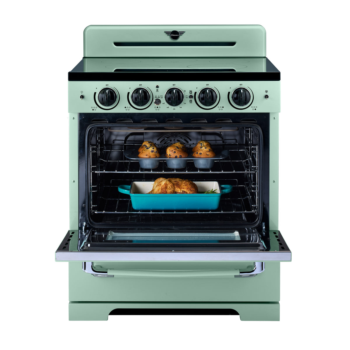 Unique 30' Classic Retro Induction Range Summer Mint Green