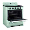 Unique 30' Classic Retro Induction Range Summer Mint Green