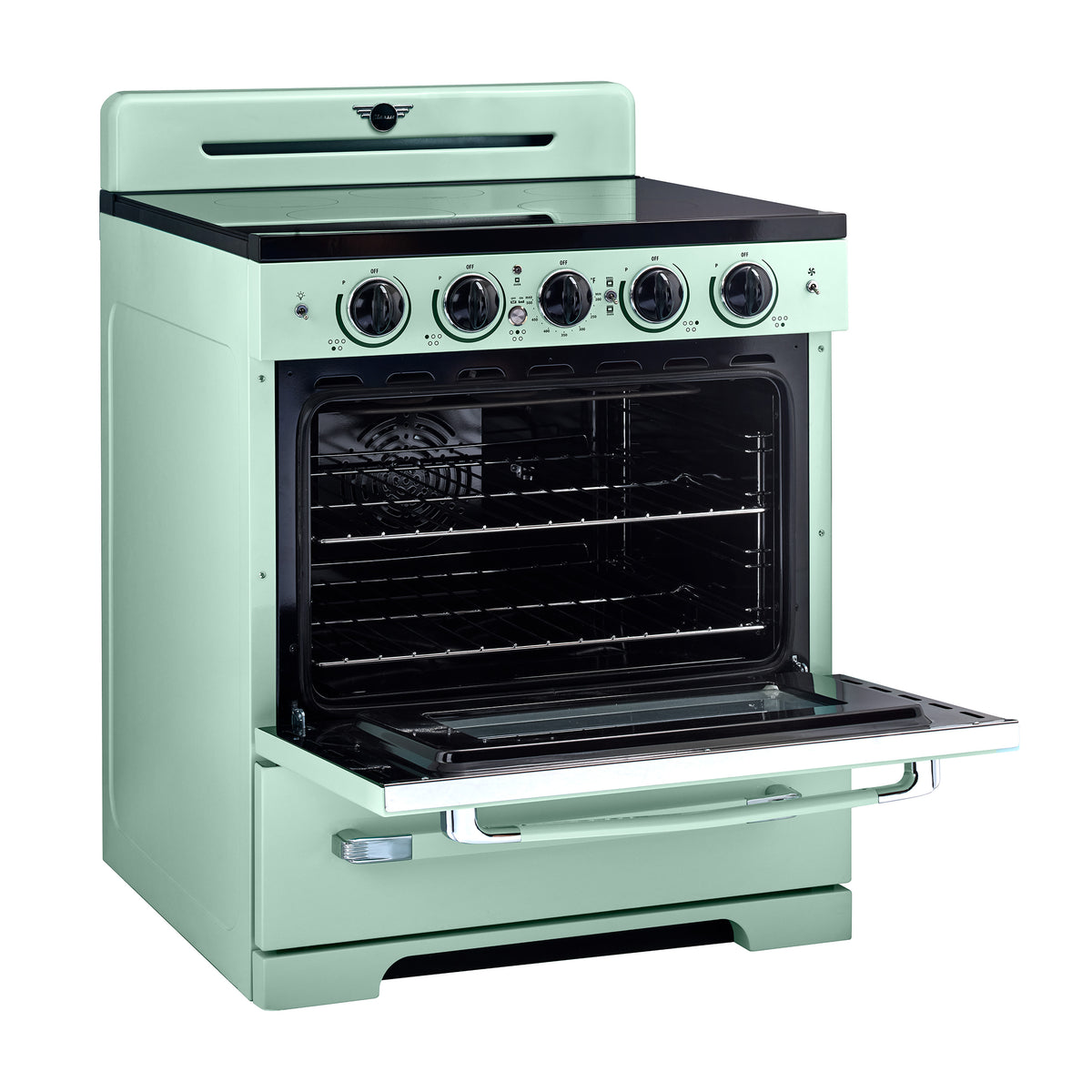 Unique 30' Classic Retro Induction Range Summer Mint Green