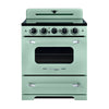 Unique 30' Classic Retro Induction Range Summer Mint Green