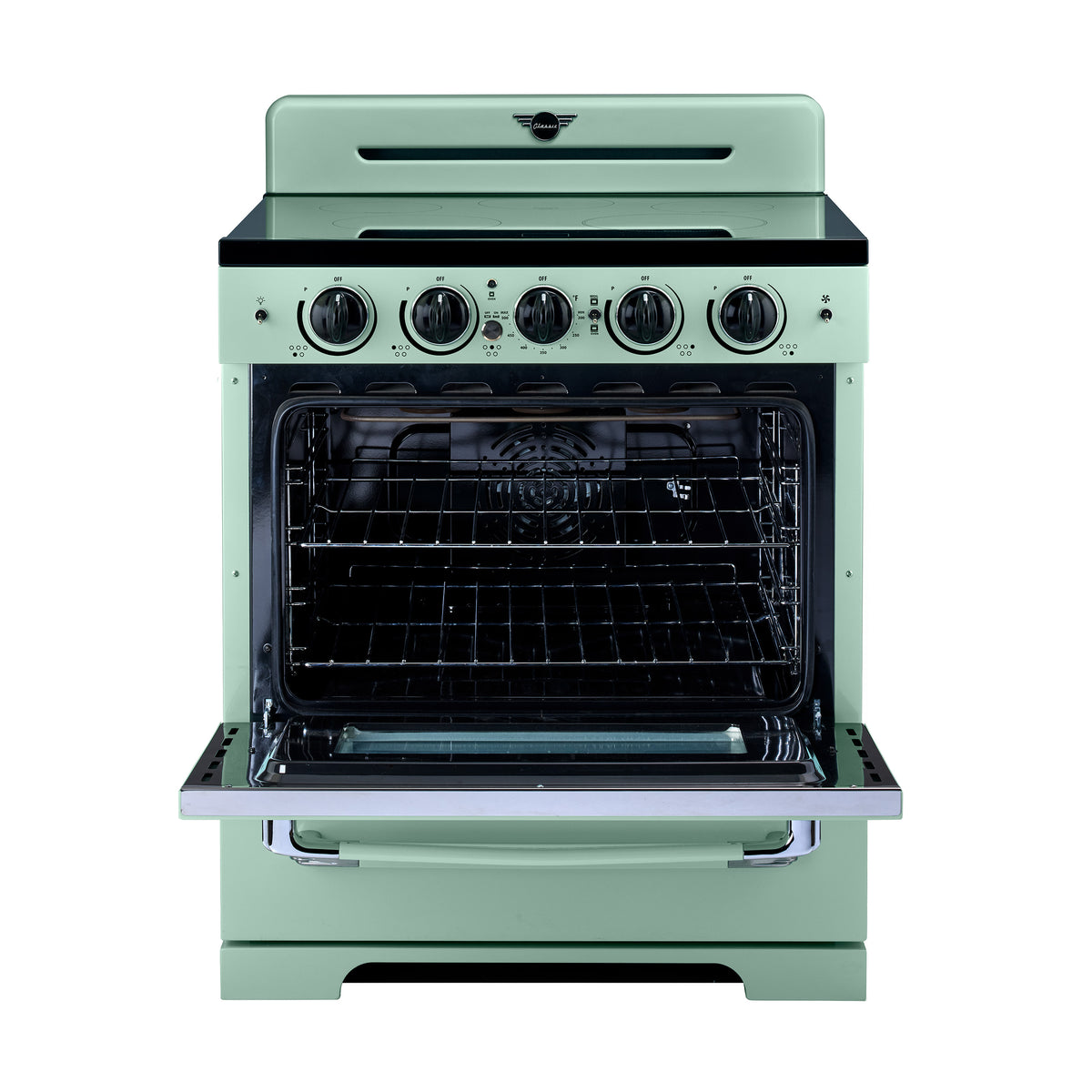 Unique 30' Classic Retro Induction Range Summer Mint Green