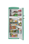 Unique 310L Ocean Mist Turquoise Top Mount Refrigerator